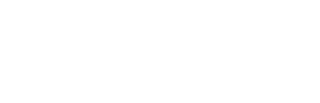 Northern lights fiber logo